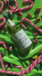 You’re A Mean One Body Oil